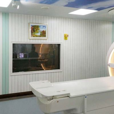 MRI Radyo Frekansı İzolasyonu 60dB Sinyal Sıvışımına Erişen Müdahale Karşıtı Pencereler Kalıcı Elektromanyetik Bariyer Kullanımı İçin Geliştirildi